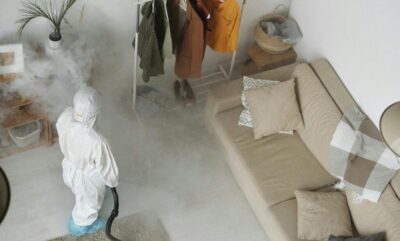 کنترل آفات منزل خودمان یا شرکت؟ بهترین راه حل برای خانواده های پرمشغله