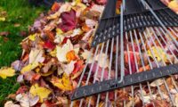 7 چک لیست نظافت پاییزی برای خانه ای دنج و آماده پاییز
